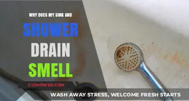 Why Your Sink and Shower Drains Emit Foul Odors: Causes & Fixes