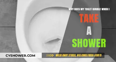 Why Does My Toilet Bubble When I Shower? Explained