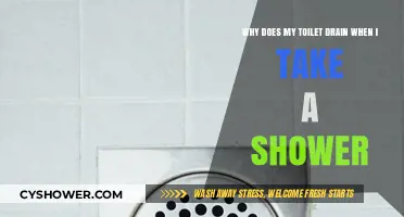 Why Your Toilet Drains When You Shower: Plumbing Insights