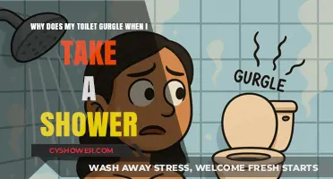 Why Your Toilet Gurgles When You Shower: Causes and Fixes