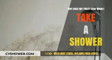 Shower Time Toilet Leaks: Causes and Quick Fixes Explained