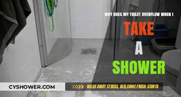 Shower Time Flood: Why Your Toilet Overflows During Showers