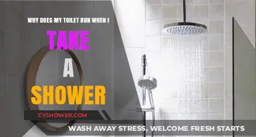 Why Your Toilet Runs When You Shower: Common Causes & Fixes