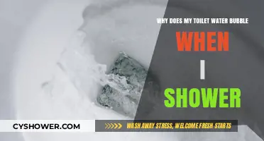 Why Does My Toilet Water Bubble When I Shower? Explained