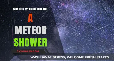 Why Does My Vision Look Like a Meteor Shower?