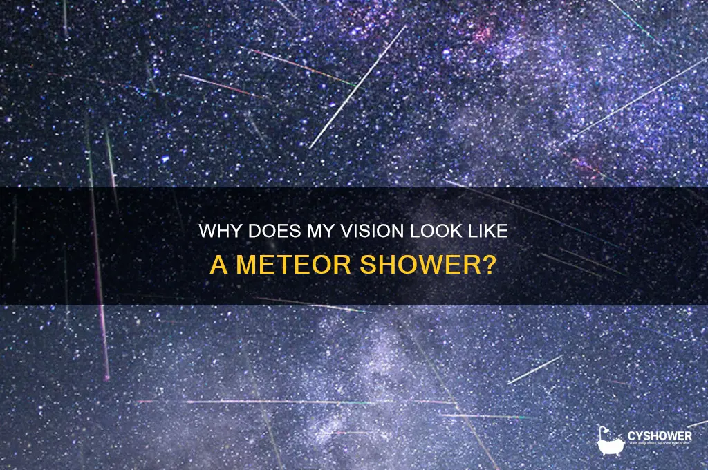 why does my vision look like a meteor shower