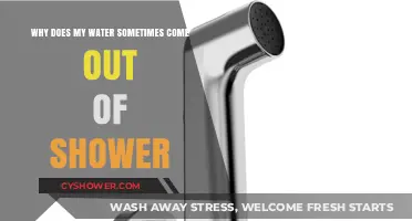 Why Shower Water Backflow Happens: Causes and Quick Fixes