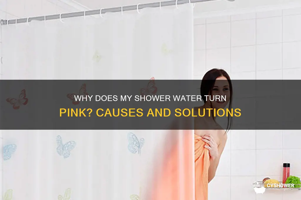 why does my water turn my shower pink