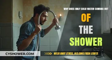 Why Your Shower Only Produces Cold Water: Common Causes and Fixes
