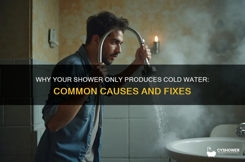 why does only cold water coming out of the shower