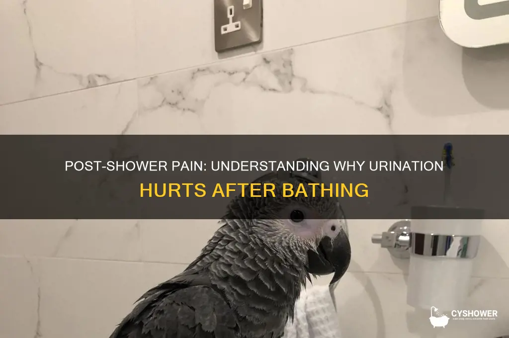 why does peeing hurt after getting out of the shower