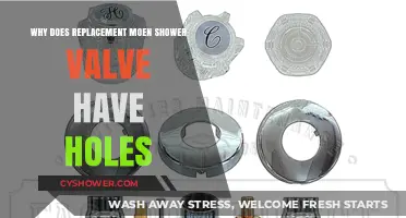 Understanding the Purpose of Holes in Replacement Moen Shower Valves