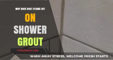 Why Rust Stains Appear on Shower Grout and How to Prevent Them