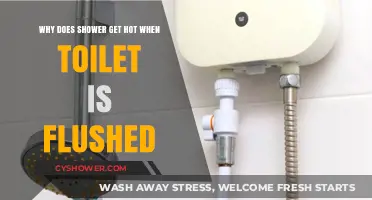 Why Your Shower Water Heats Up When You Flush the Toilet