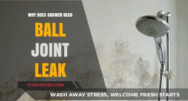 Why Shower Head Ball Joints Leak: Causes and Quick Fixes
