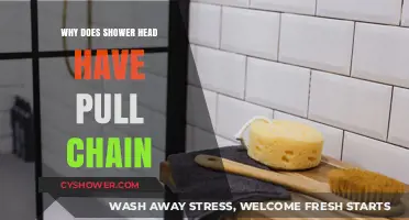 Why Shower Heads Have Pull Chains: Unveiling Their Practical Purpose