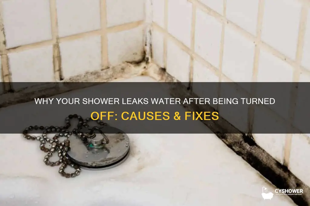 why does shower leak water after turned off