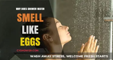Why Does Shower Water Smell Like Eggs? Causes and Solutions