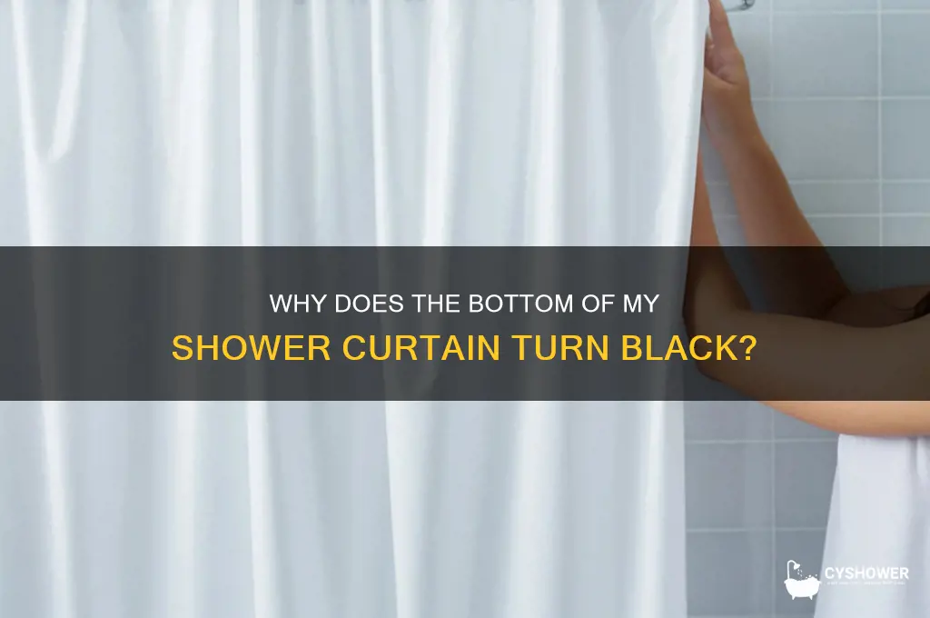 why does the bottom of my shower curtain turn black