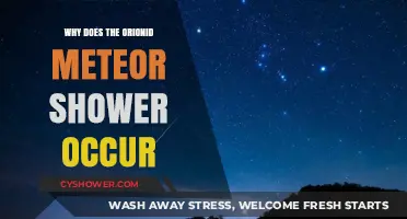 Orionid Meteor Shower: Halley's Comet's Cosmic Debris Lights Up Night Sky