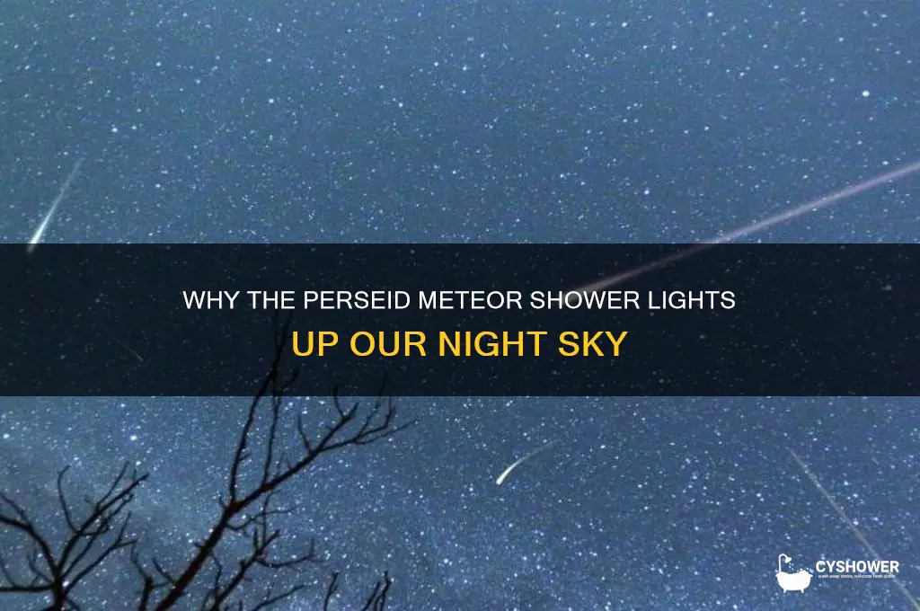 why does the perseid meteor shower happen