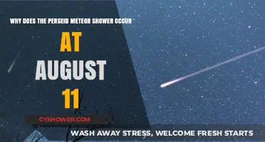 August's Perseid Meteor Shower: The Science Behind Its Annual Appearance