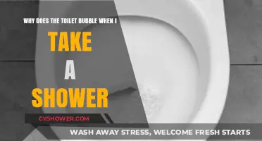 Why Does My Toilet Bubble When I Shower? Explained