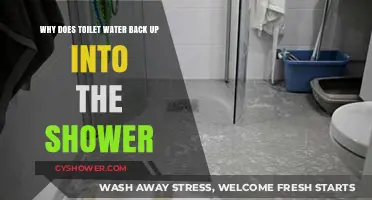 Why Toilet Water Backs Up into the Shower: Causes and Fixes