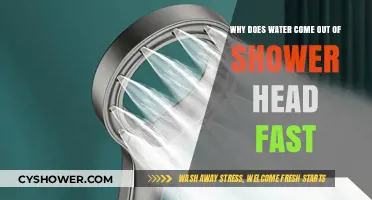 Why Shower Heads Deliver Water at High Speeds: Explained