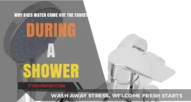 Why Does Water Flow from the Faucet During Your Shower?