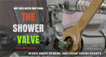 Why Does Water Drip from Your Shower Valve? Causes and Fixes