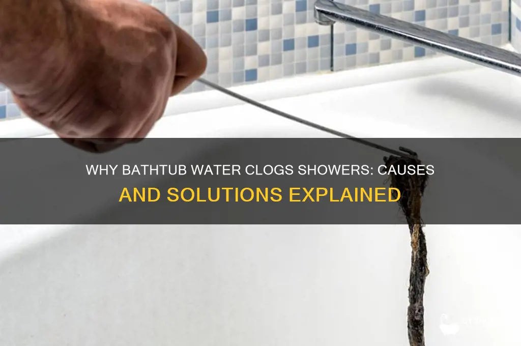 why does water from bathtub clog shower