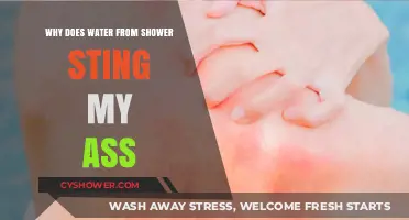 Shower Water Stinging Your Rear? Uncover the Surprising Reasons Why