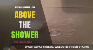 Why Water Leaks Above Your Shower: Causes and Fixes