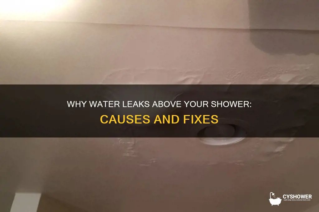 why does water leak above the shower