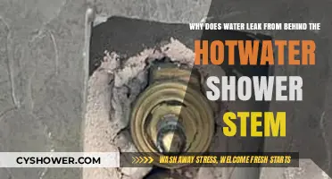 Behind the Shower Stem: Causes of Water Leaks in Hot Water Systems