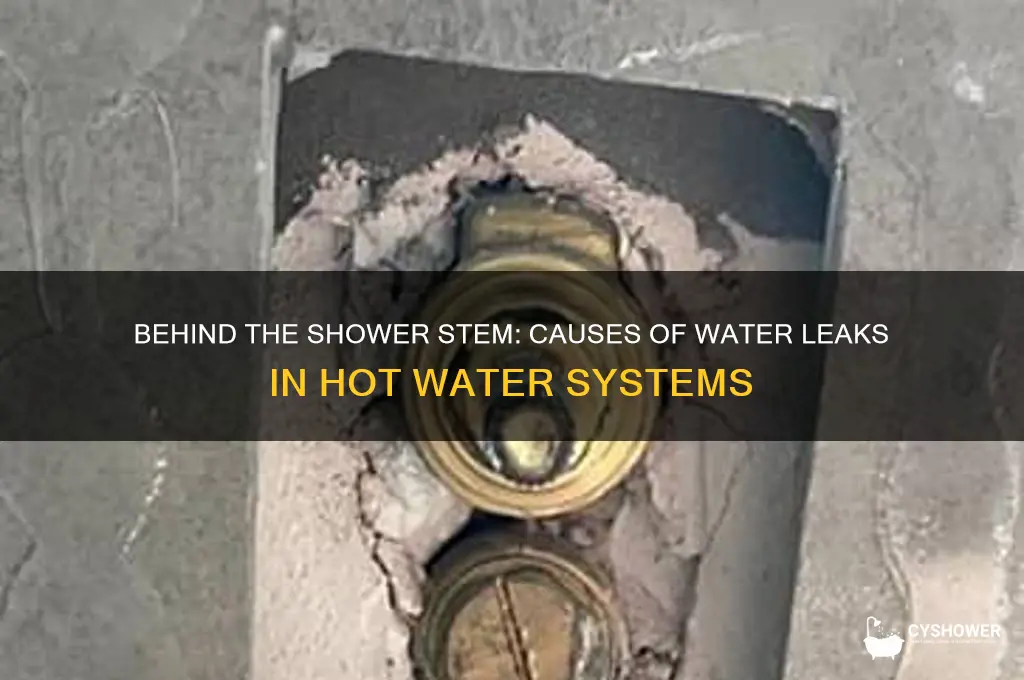 why does water leak from behind the hotwater shower stem