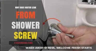 Why Shower Screw Leaks: Causes and Quick Fixes Explained