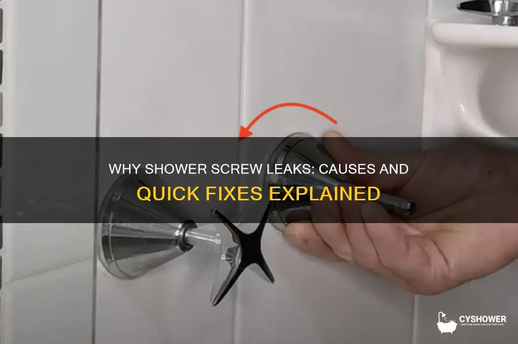 why does water leak from shower screw