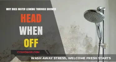 Why Water Leaks from Your Shower Head When Turned Off