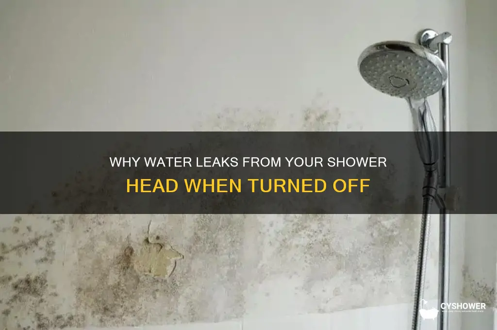 why does water leaking through shower head when off