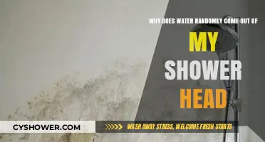 Why Does Water Randomly Come Out of My Shower Head?