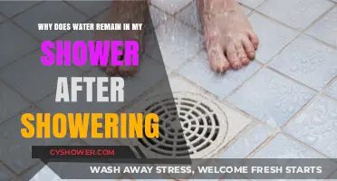 Why Water Lingers in Your Shower: Causes and Solutions