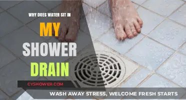 Why Water Lingers in Your Shower Drain: Causes and Fixes