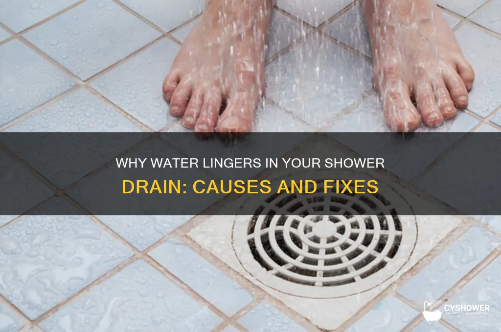 why does water sit in my shower drain