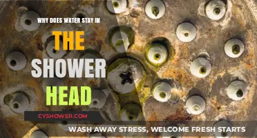 Why Water Lingers in Your Shower Head: Causes and Fixes