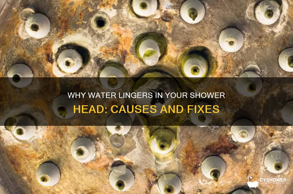 why does water stay in the shower head