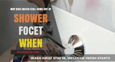 Why Water Still Flows from Your Shower Faucet: Common Causes Explained