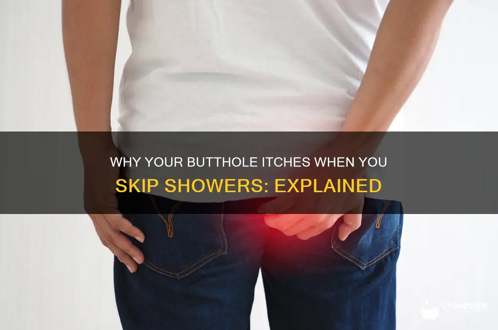 why does your butthole get itchy if you don