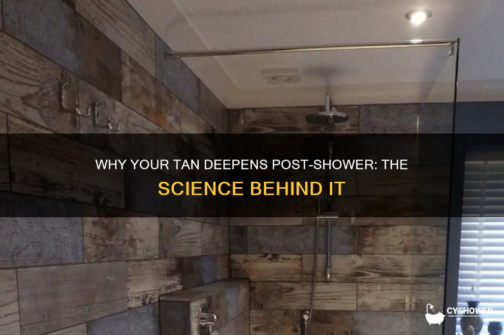why does your tan get darker after shower